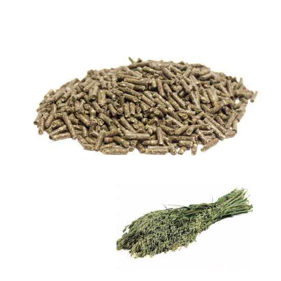 Ontwerp zonder titel 0