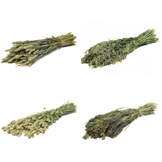 Ontwerp zonder titel 1