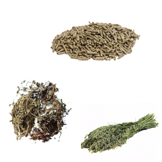 Ontwerp zonder titel 2