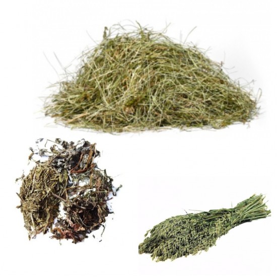 Ontwerp zonder titel